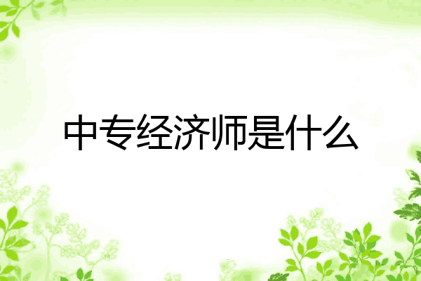 中专经济师是什么
