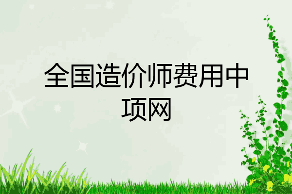全国造价师费用中项网