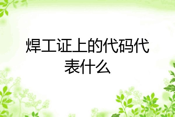 焊工证上的代码代表什么