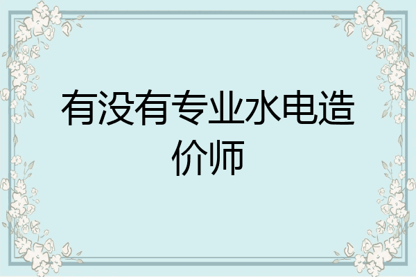 有没有专业水电造价师