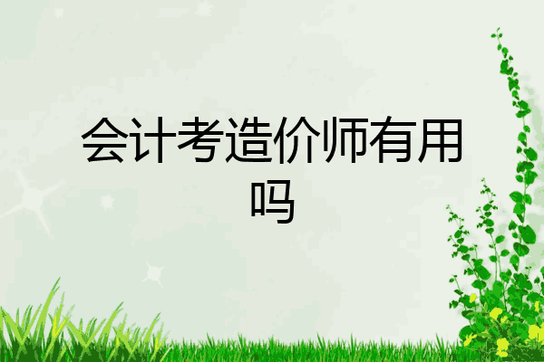 会计考造价师有用吗