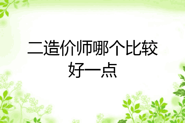 二造价师哪个比较好一点