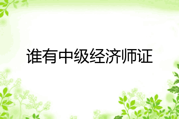谁有中级经济师证