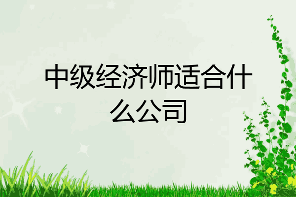 中级经济师适合什么公司