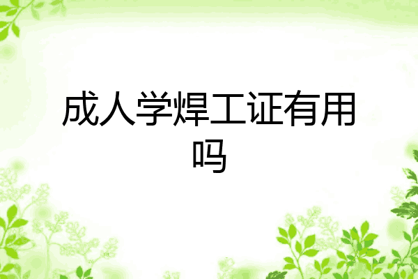 成人学焊工证有用吗