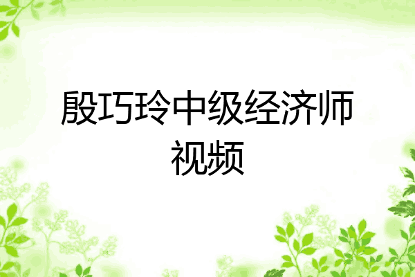 殷巧玲中级经济师视频