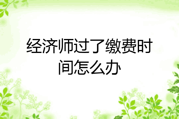 经济师过了缴费时间怎么办