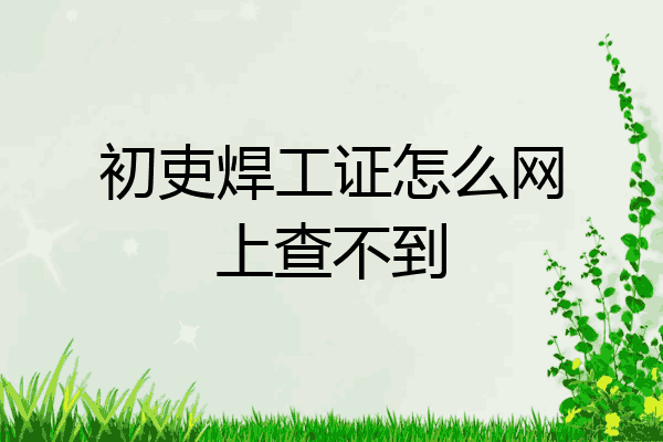 初吏焊工证怎么网上查不到