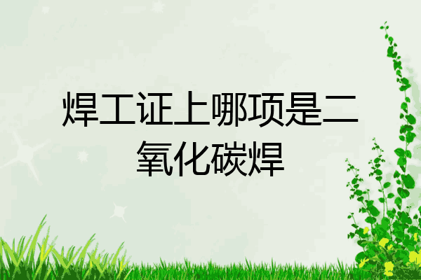 焊工证上哪项是二氧化碳焊