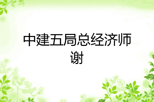 中建五局总经济师谢