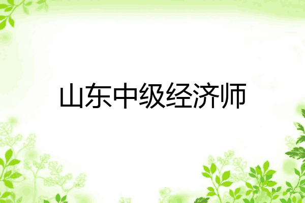 山东中级经济师