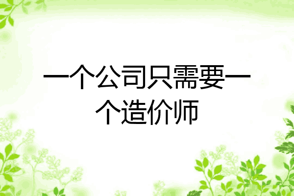 一个公司只需要一个造价师