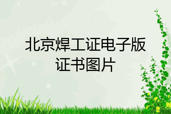 北京焊工证电子版证书图片