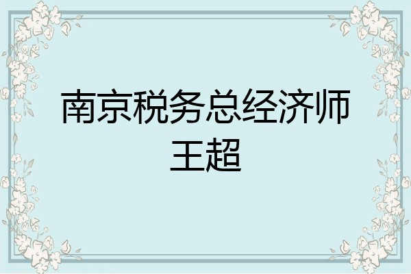 南京税务总经济师王超