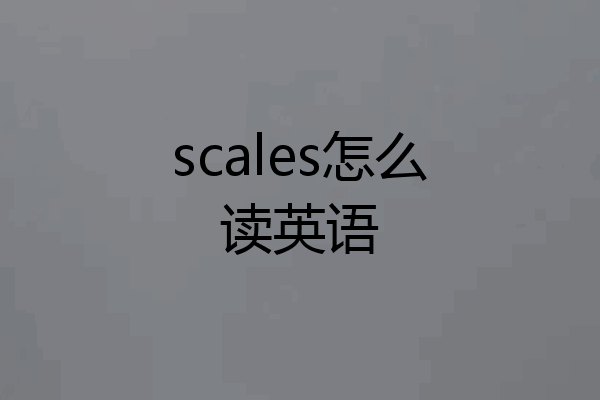 scales怎么读英语
