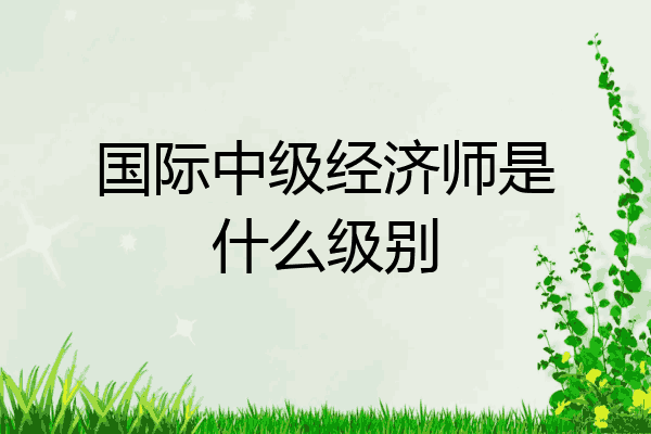 国际中级经济师是什么级别