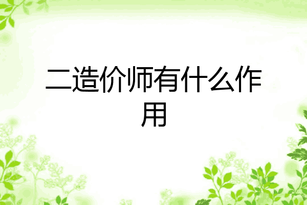 二造价师有什么作用