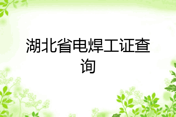 湖北省电焊工证查询