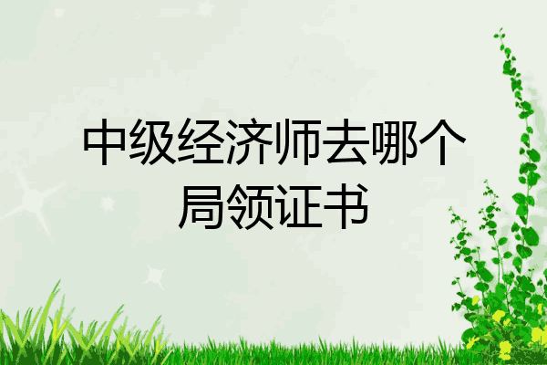 中级经济师去哪个局领证书