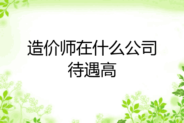 造价师在什么公司待遇高