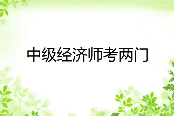 中级经济师考两门