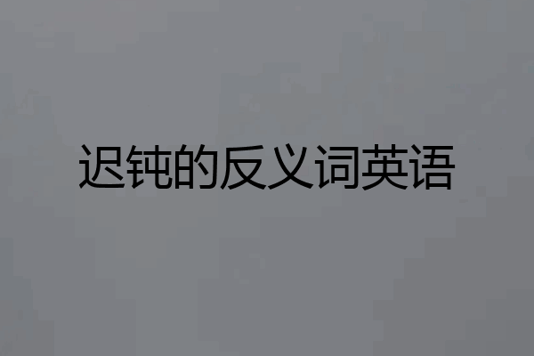 迟钝的反义词英语