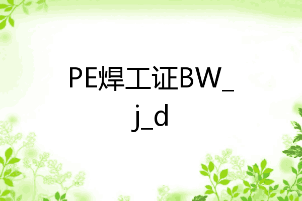 PE焊工证BW_j_d