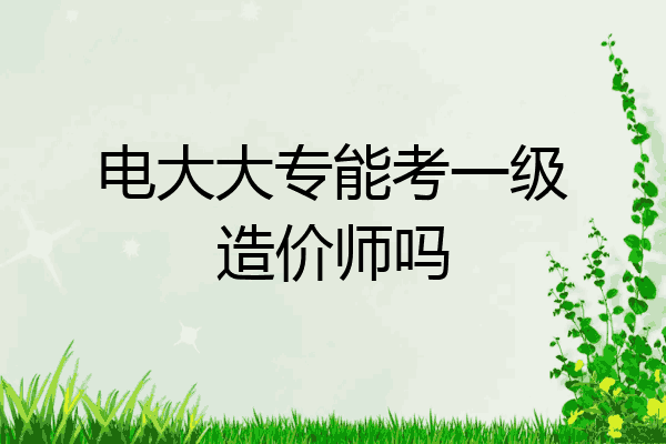 电大大专能考一级造价师吗