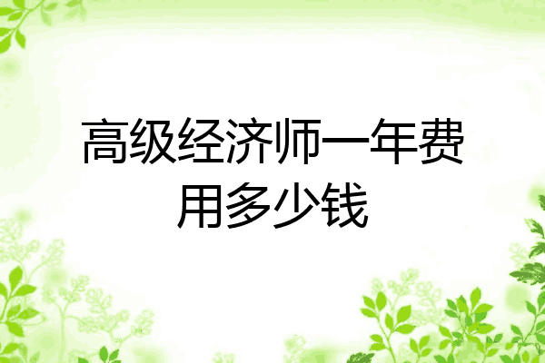 高级经济师一年费用多少钱