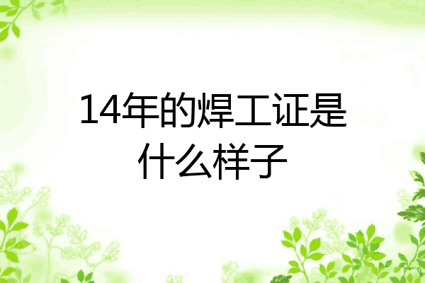 14年的焊工证是什么样子