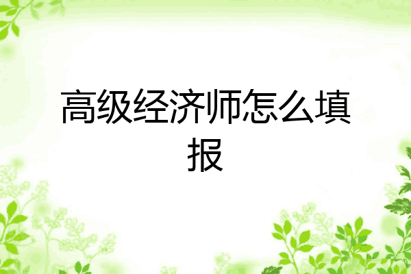 高级经济师怎么填报