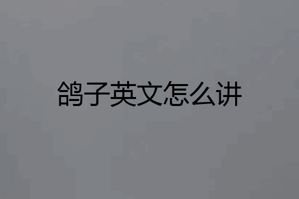 鸽子英文怎么讲