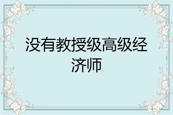 没有教授级高级经济师