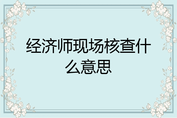 经济师现场核查什么意思