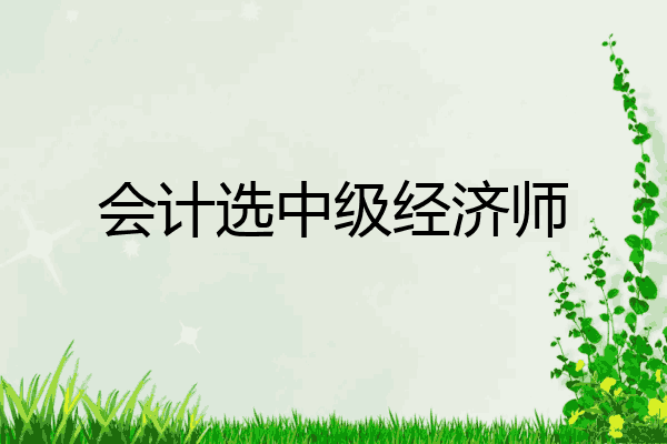 会计选中级经济师