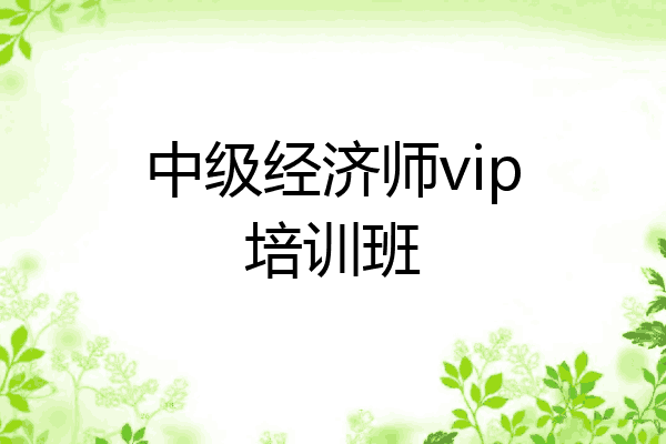 中级经济师vip培训班