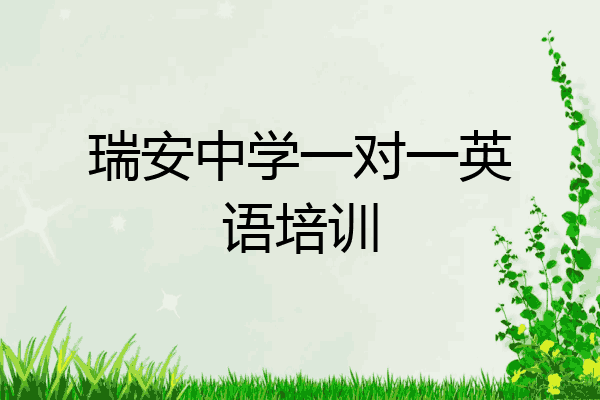 瑞安中学一对一英语培训