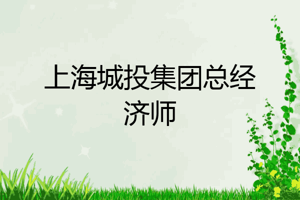 上海城投集团总经济师