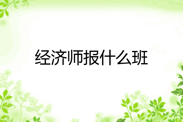 经济师报什么班