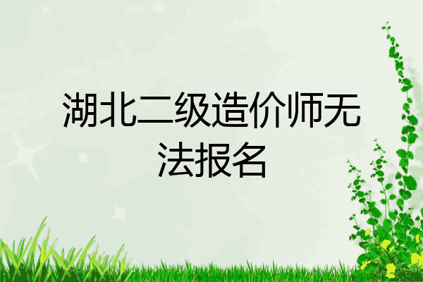 湖北二级造价师无法报名