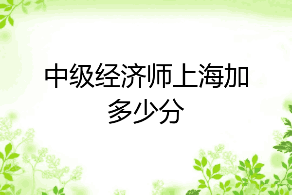 中级经济师上海加多少分