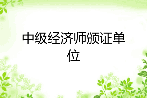 中级经济师颁证单位