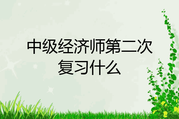 中级经济师第二次复习什么
