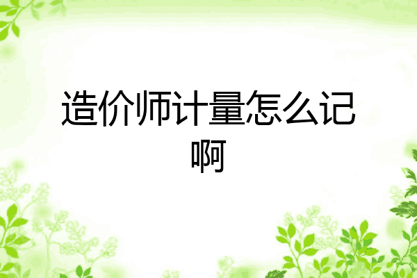 造价师计量怎么记啊
