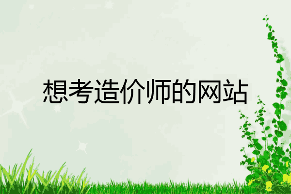 想考造价师的网站