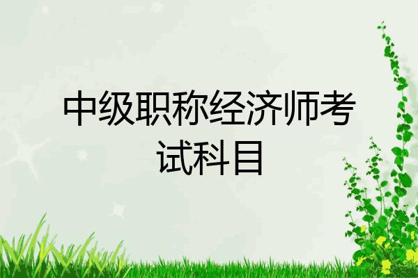 中级职称经济师考试科目