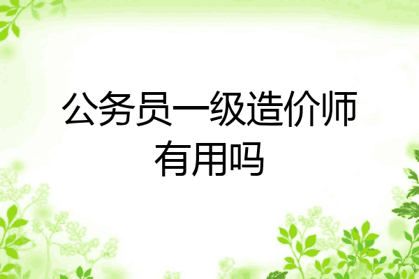 公务员一级造价师有用吗