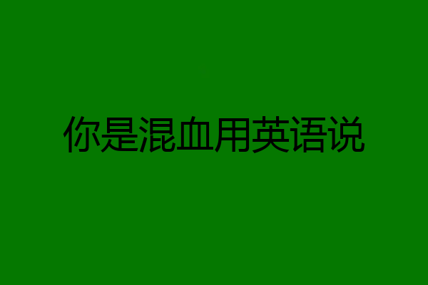 你是混血用英语说