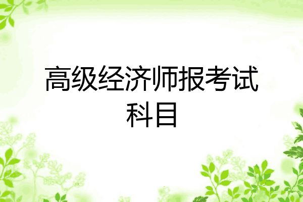 高级经济师报考试科目