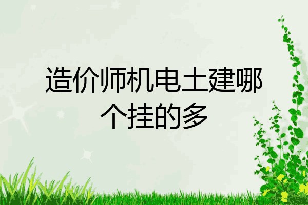造价师机电土建哪个挂的多